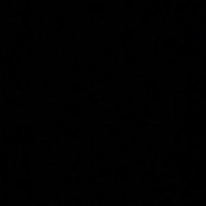 Meet your Posher, Maddy